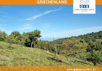 458310-Vorschaubild2