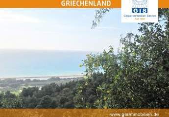 458310-Vorschaubild3