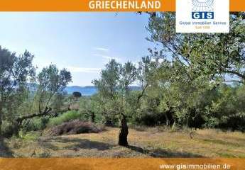 458317-Vorschaubild2