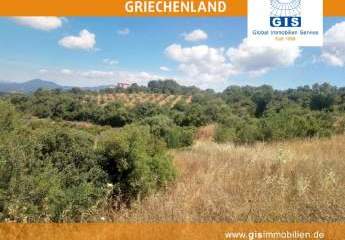 458320-Vorschaubild3