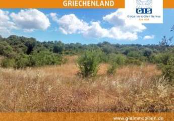 458320-Vorschaubild4