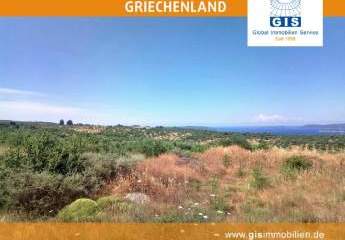 458321-Vorschaubild3