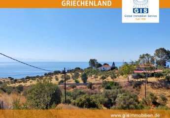 458323-Vorschaubild3