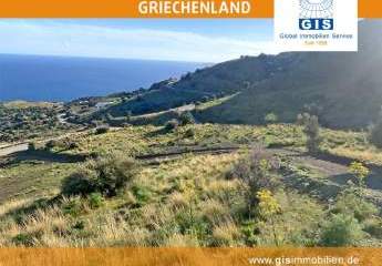 458326-Vorschaubild3