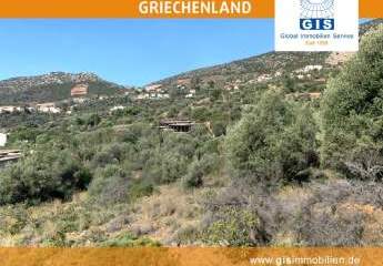 458329-Vorschaubild4