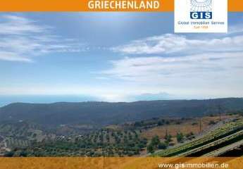 458333-Vorschaubild3