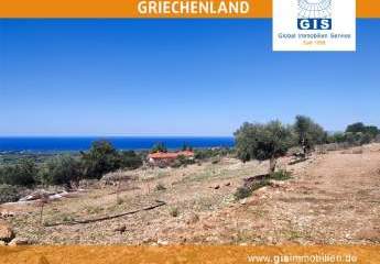 458335-Vorschaubild3