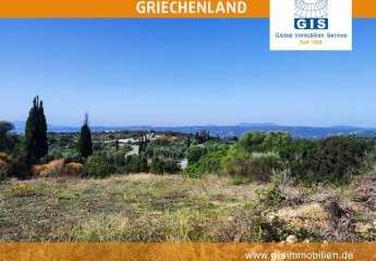 458338-Vorschaubild3