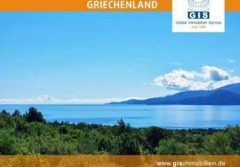 458339-Vorschaubild3