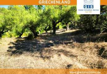 458348-Vorschaubild4