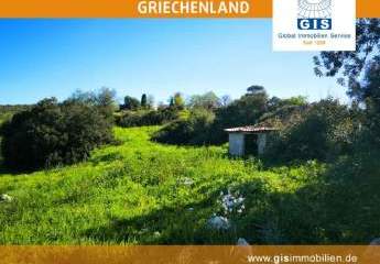 458354-Vorschaubild3