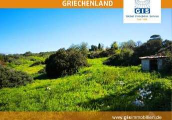 458354-Vorschaubild4