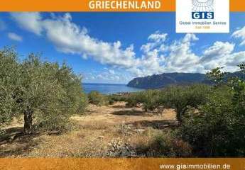 458355-Vorschaubild2