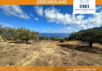 458355-Vorschaubild3