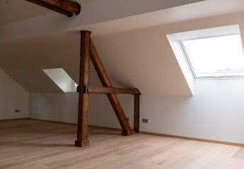 458511-Vorschaubild3