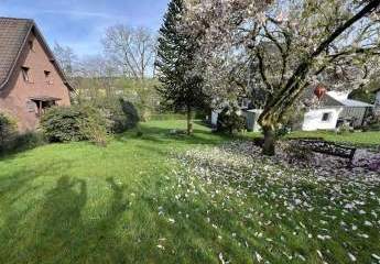 458517-Vorschaubild2