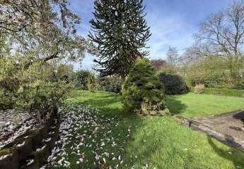 458517-Vorschaubild3