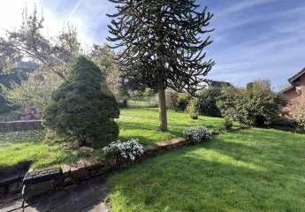 458517-Vorschaubild4