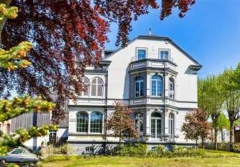 458516-Vorschaubild4