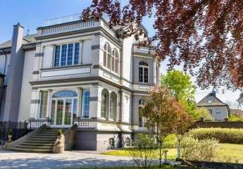 487594-Vorschaubild3