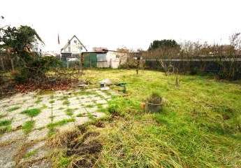 469949-Vorschaubild2