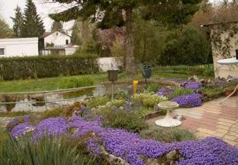 458392-Vorschaubild2