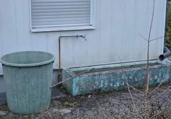 458392-Vorschaubild3