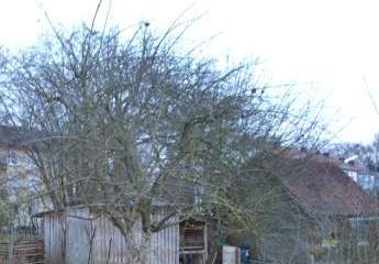 Einfamilienhaus mit großem Grund