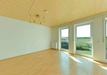 458793-Vorschaubild3