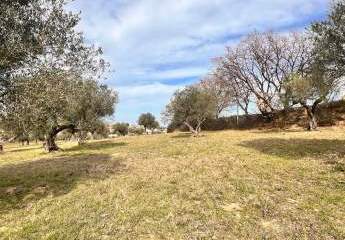 473275-Vorschaubild2