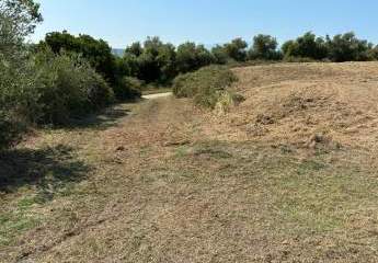 473276-Vorschaubild4