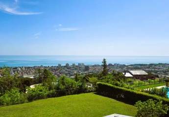 473288-Vorschaubild2