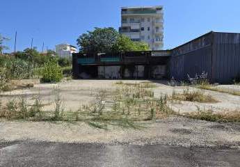 474901-Vorschaubild3