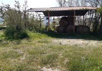 Vendesi casolare ad Atri