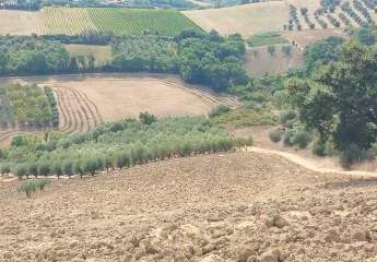 474881-Vorschaubild2