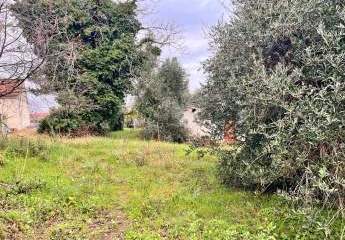 473286-Vorschaubild2