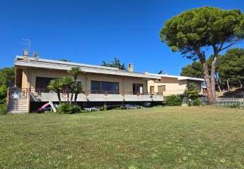 473288-Vorschaubild4