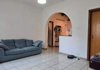 477635-Vorschaubild2