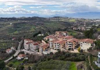 474863-Vorschaubild3