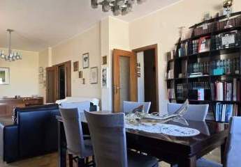 474905-Vorschaubild3