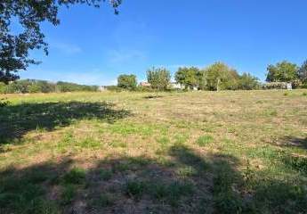 474902-Vorschaubild2