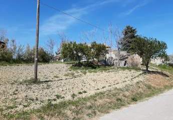 474891-Vorschaubild2