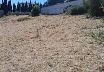 474878-Vorschaubild2