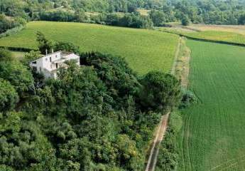 474876-Vorschaubild4