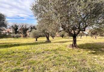 473275-Vorschaubild3