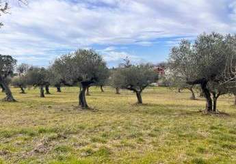 473275-Vorschaubild4