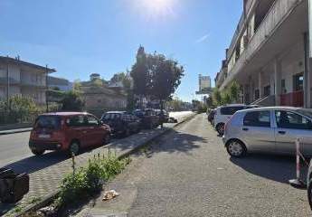 474915-Vorschaubild3