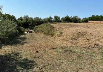 473276-Vorschaubild2