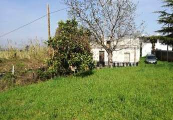 473284-Vorschaubild3