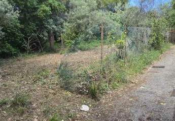 473291-Vorschaubild4